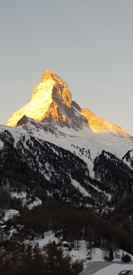 Appartamento Haus Les Mélèzes Zermatt Esterno foto
